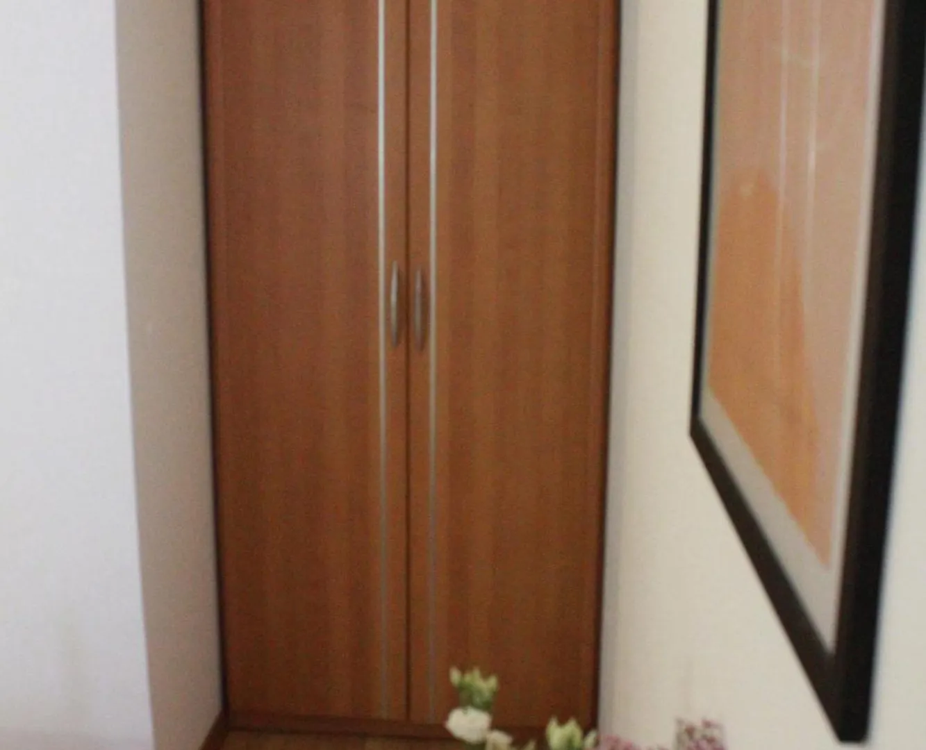 Sara Apartment Visnjan