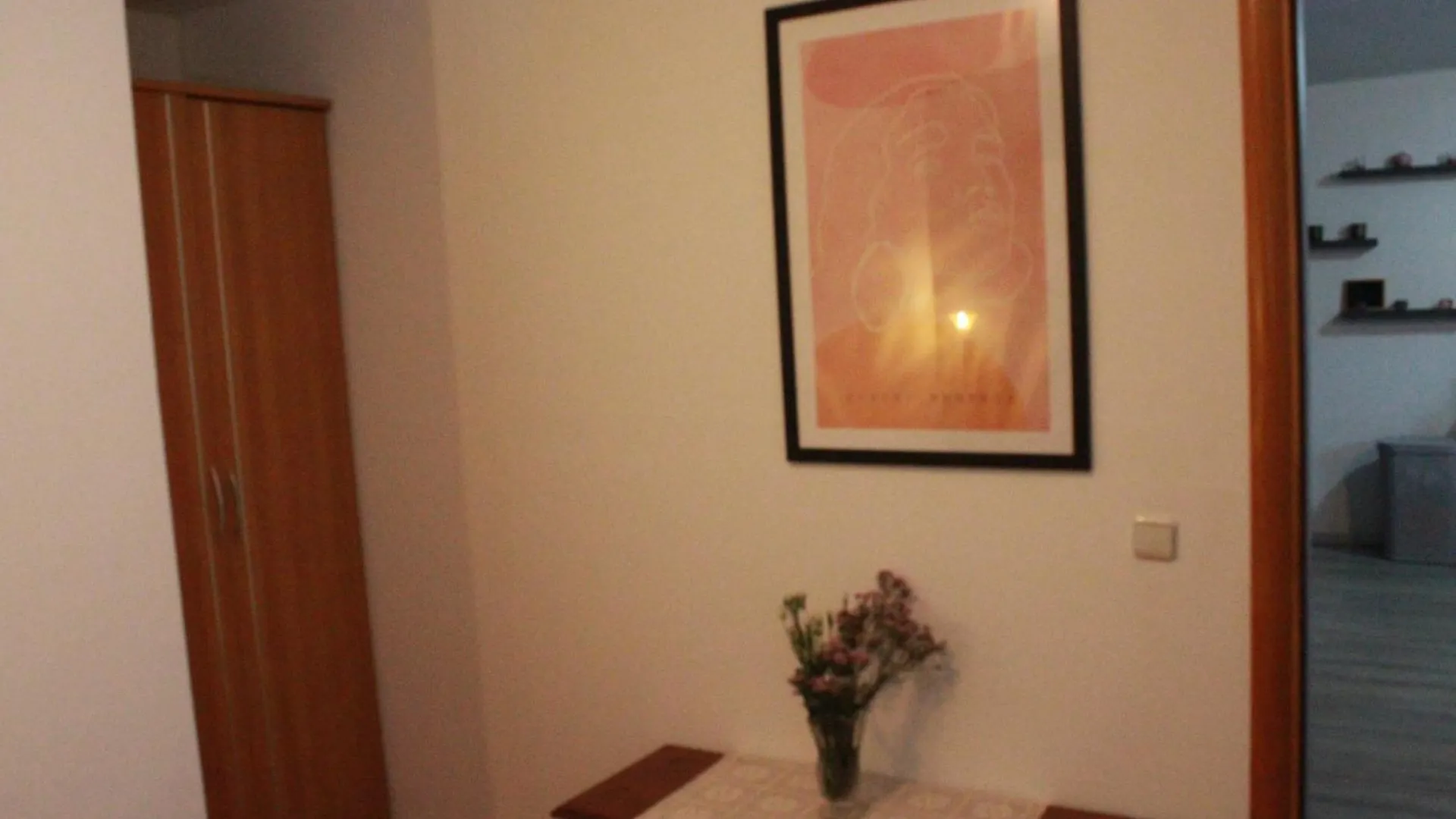 Sara Apartment Visnjan